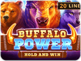 Buffalo Power